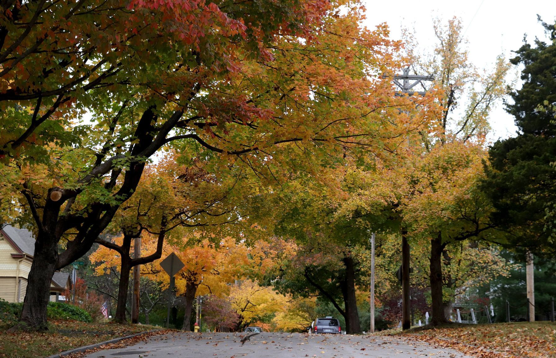 Autumn leaves in Kirkwood